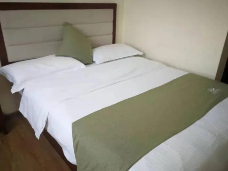 Greentree Inn Guangdong Shenzhen Baoan Airport New Terminal Express Hotel China